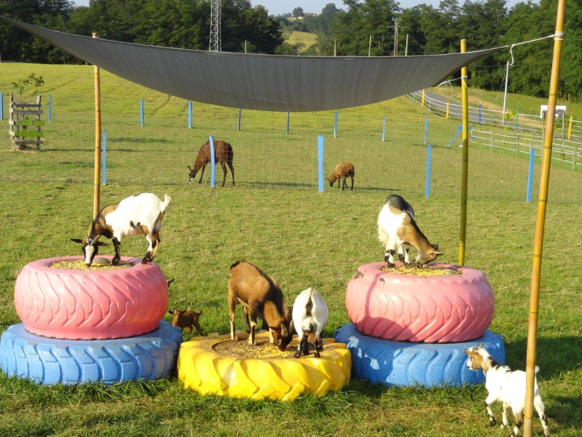 Bed and Breakfast La Petite Ferme De Pouillon - Parc Animalier - Aire De Loisirs Экстерьер фото